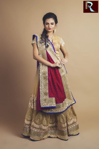 Designer Saree Half Velvet And Half Net Rapurnas Designer Saree Half Velvet And Half Net Rapurnas